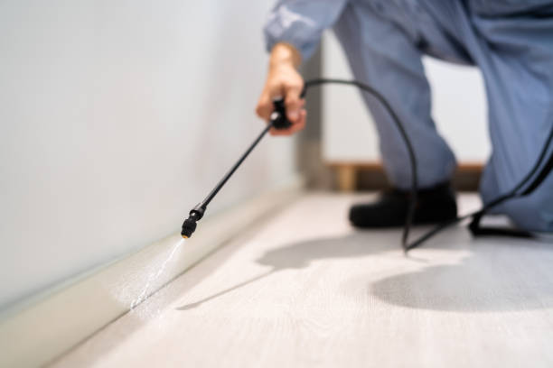 Licensed Cockroach Control service in Star, NC - Nex Pest Control