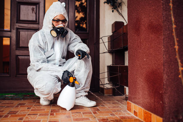 Reliable Cockroach Control contractor in Star, NC by Nex Pest Control