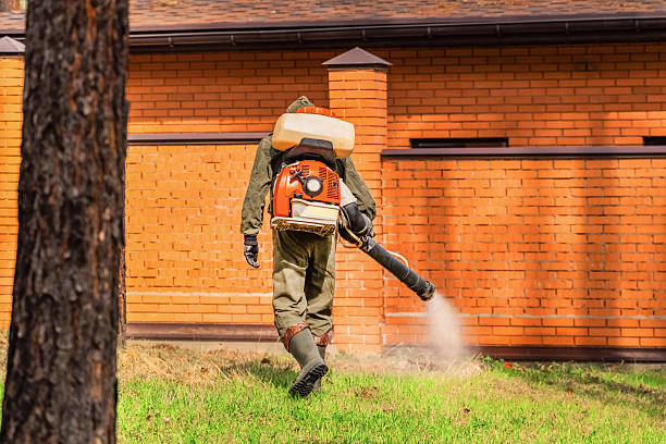 Top rated local Cockroach Control specialists in Star, NC